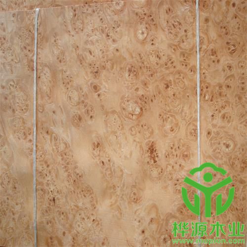 楓木樹(shù)榴木皮0.5mm價(jià)格實(shí)惠，楓木樹(shù)榴木皮質(zhì)量保證